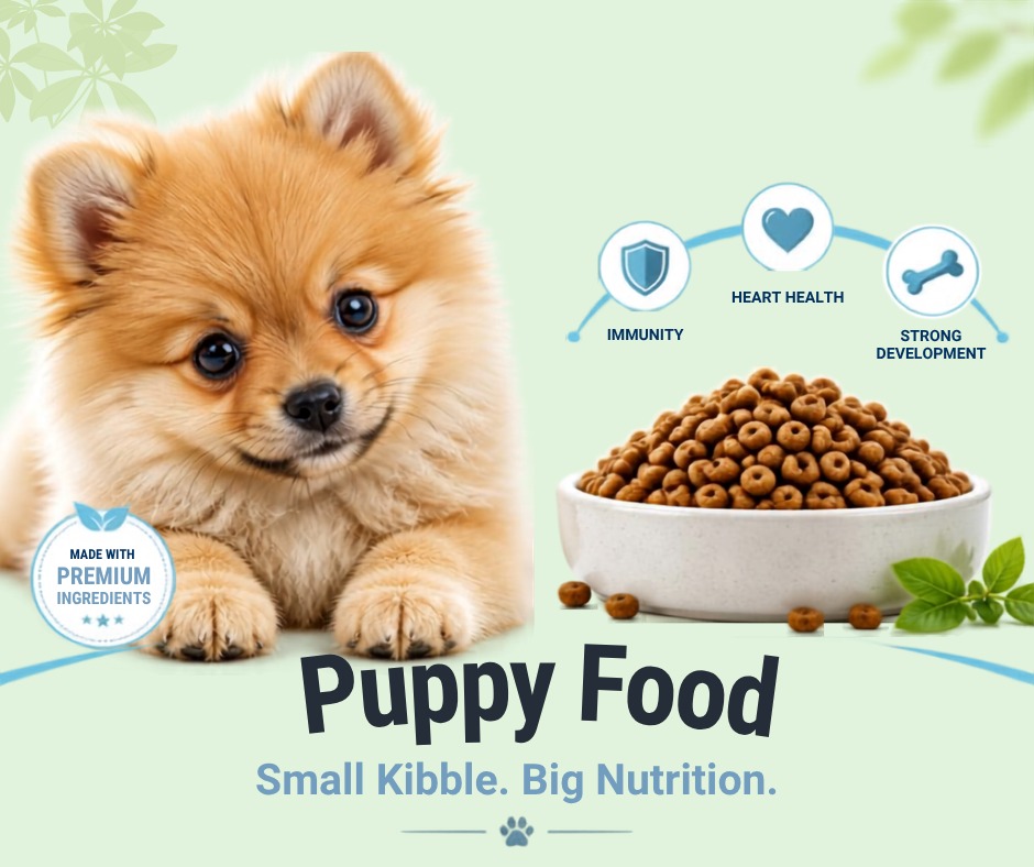 Best Food For small Breed puppies 2026 small breed puppy food..